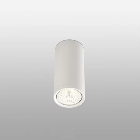 plafonnier spot cylindrique led blanc REL-P LED