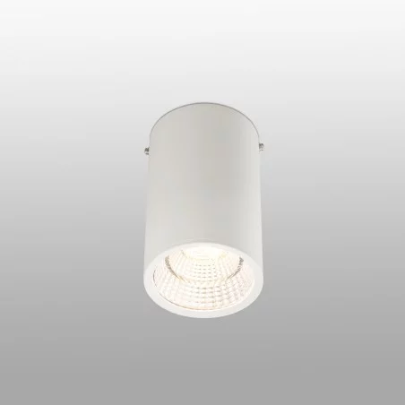 plafonnier spot cylindrique led blanc REL-G LED